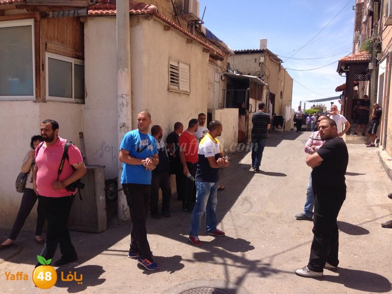 jawala 3amidar 05019 (9).JPG